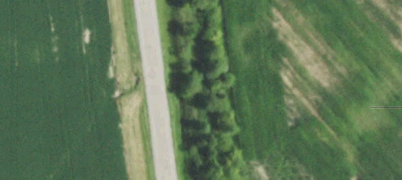 Marshall, IL 62441