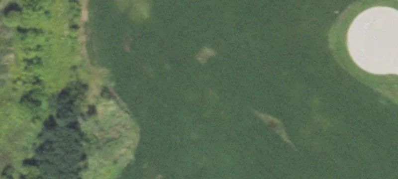 Hampshire, IL 60140