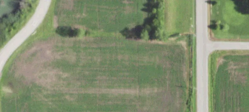 Taylorville Rd
