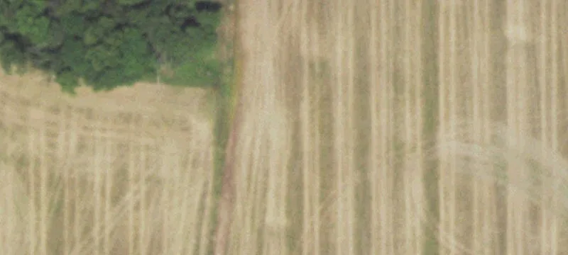 Pinckneyville, IL 62274