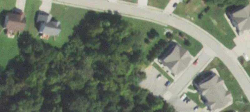 1315 Black Diamond Dr