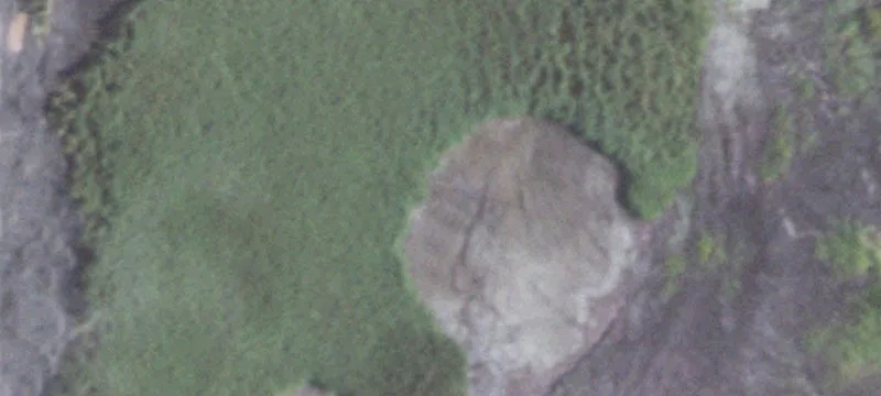 Coulterville, IL 62237