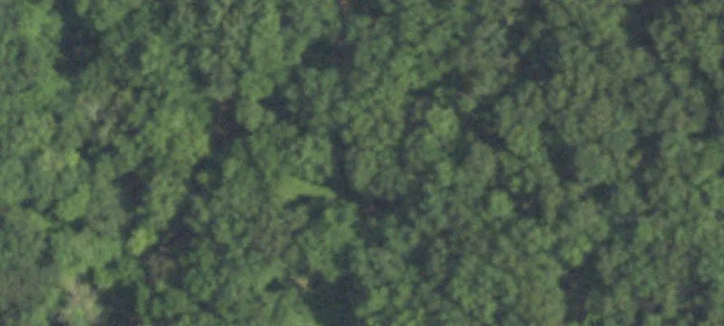 Roodhouse, IL 62082