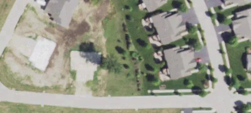 White Berry Ln