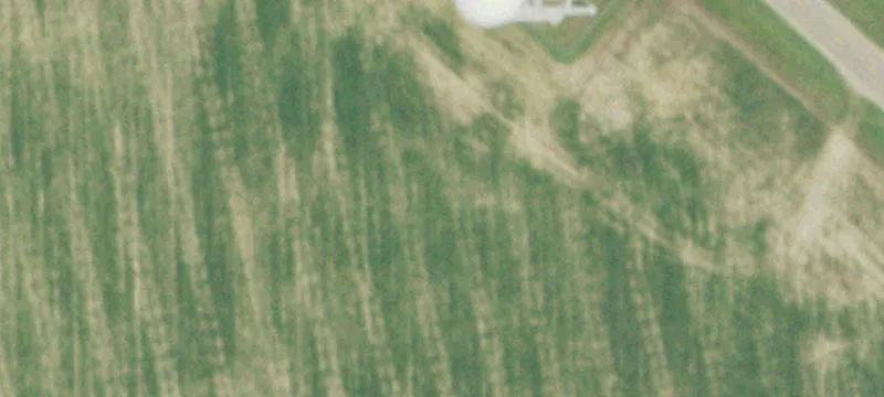 Martinsville, IL 62442