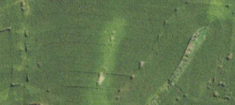 Canton, IL 61520