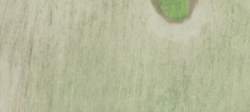 Palestine, IL 62451