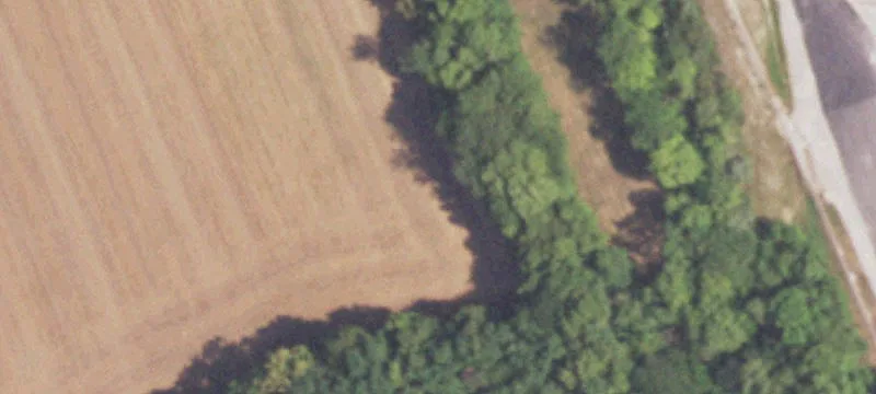 Niota, IL 62358