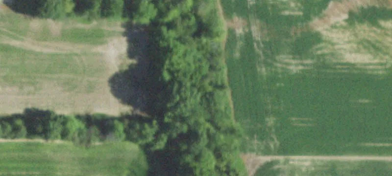 Marshall, IL 62441