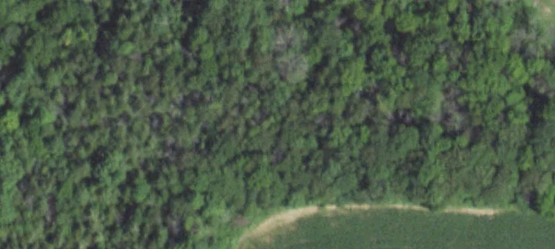 29240 County Hwy 28