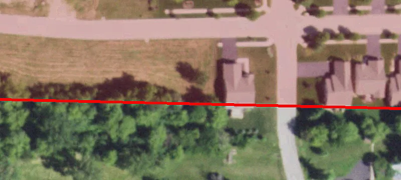 White Berry Ln