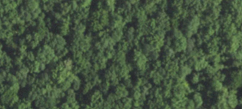 Taylorville, IL 62568