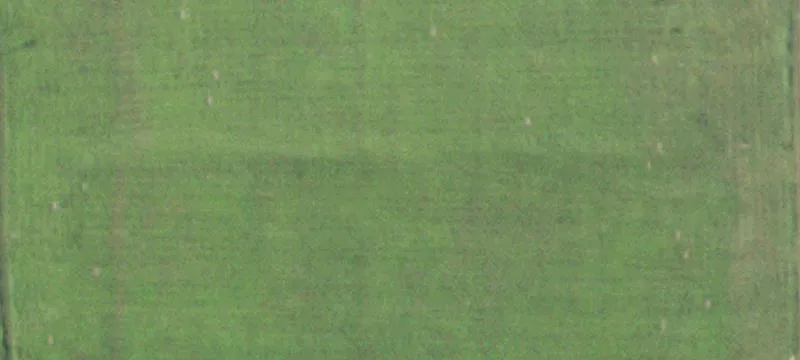 Charleston, IL 61920