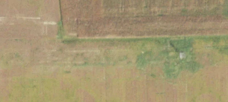 Ridgway, IL 62979