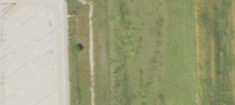 Ashmore, IL 61912