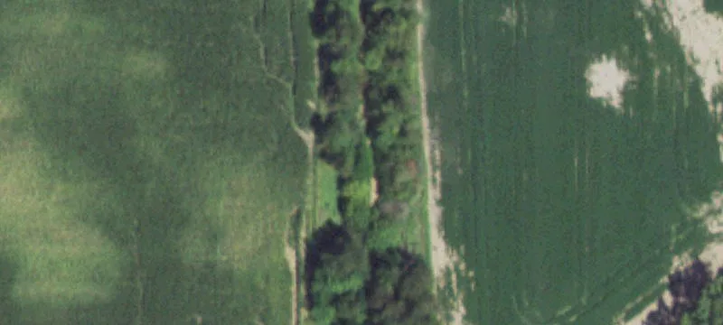 Tonica, IL 61370