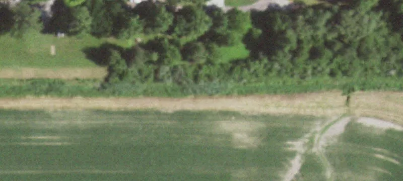 Tovey, IL 62570