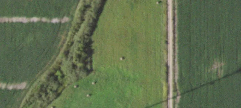 755 County Rd 1175