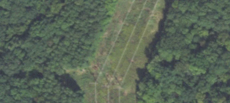 Dewitt, IL 61735