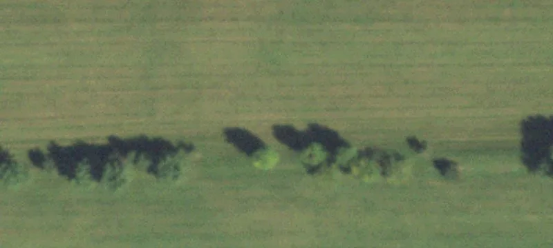 Manteno, IL 60950