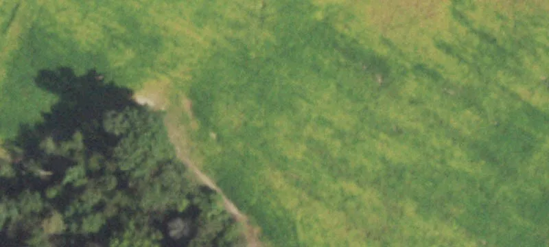Thompsonville, IL 62890