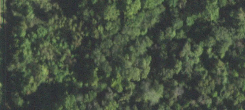 Nixville Rd