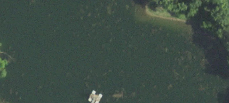 Palestine, IL 62451