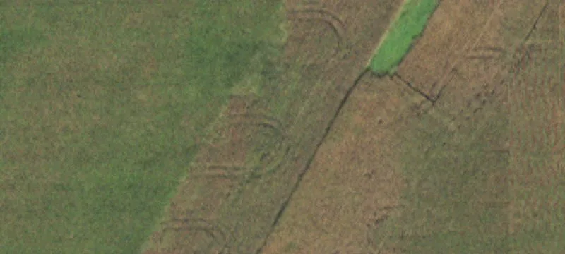 Mendota, IL 61342