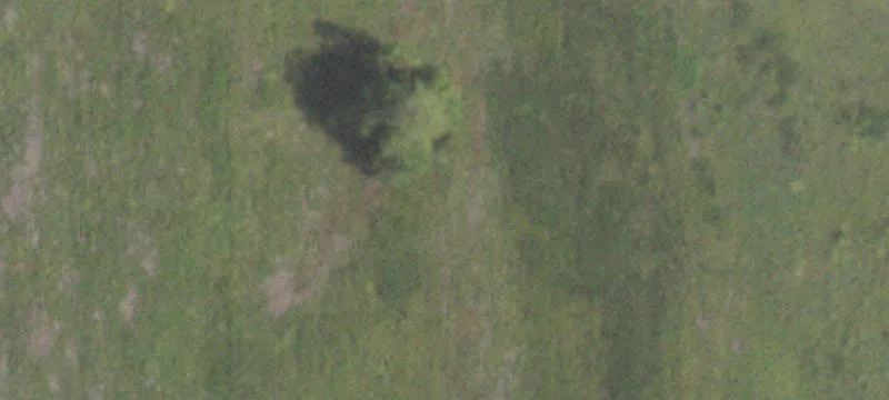 11543 Lk Of Egypt Rd