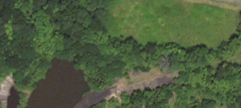 Nn W Of Miller Br Trl