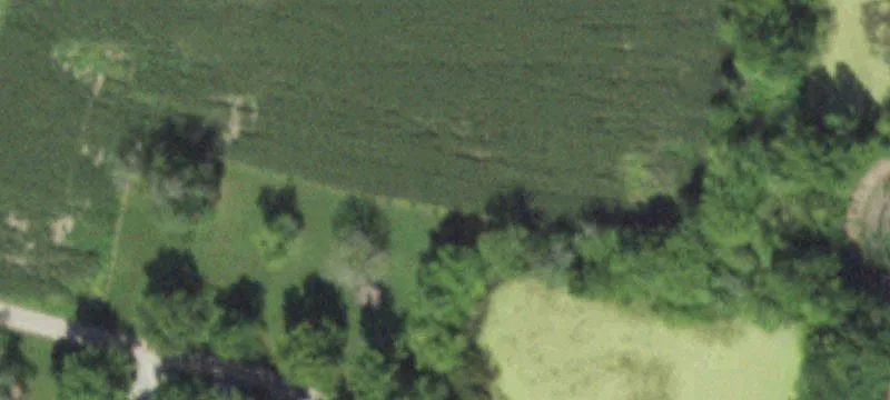 Neoga, IL 62447
