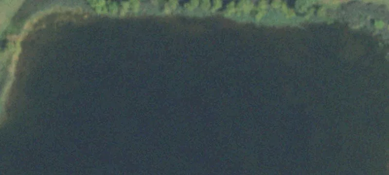 Buckley, IL 60918