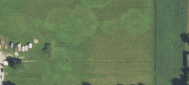 Manteno, IL 60950