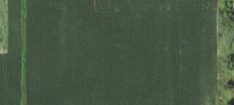 Evergreen Dr