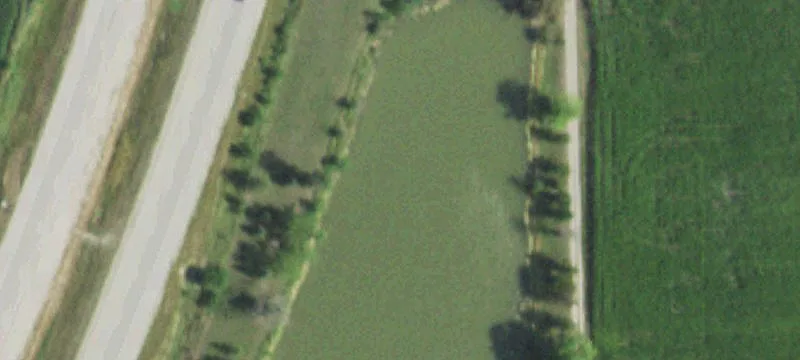 Danforth, IL 60930