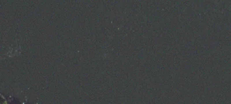 11543 Lk Of Egypt Rd