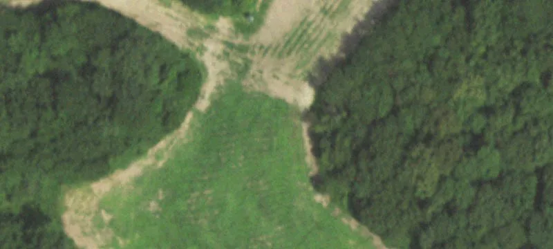 New Canton, IL 62356