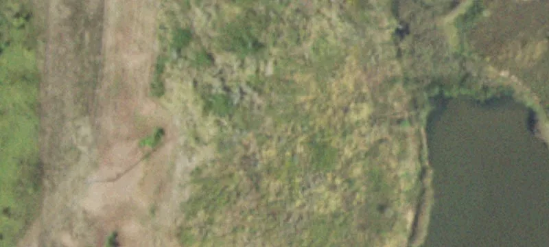 Macedonia, IL 62860
