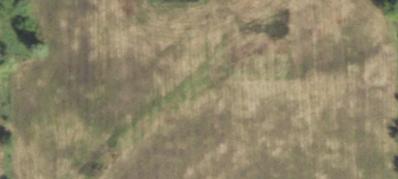 Baylis, IL 62314
