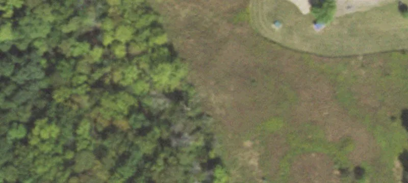 Le Roy, IL 61752