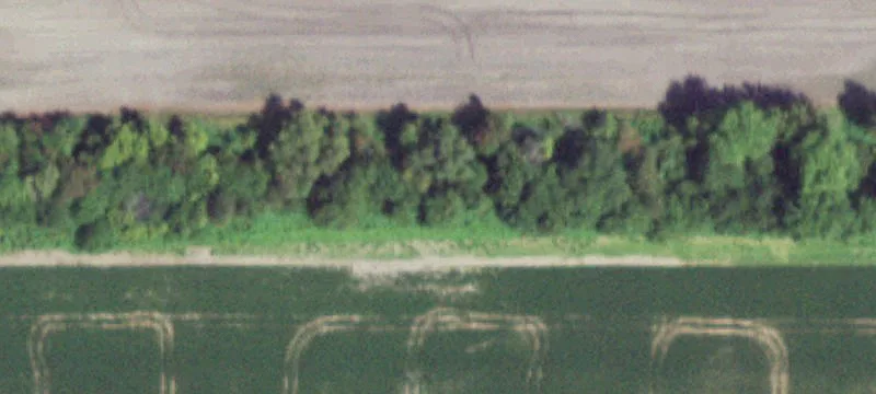 Ladd, IL 61329