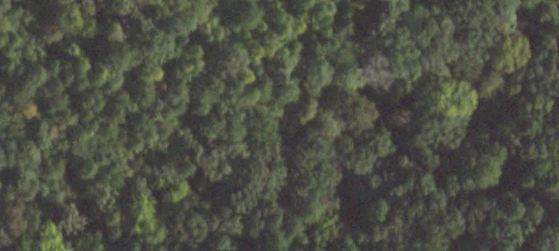 Goreville, IL 62939