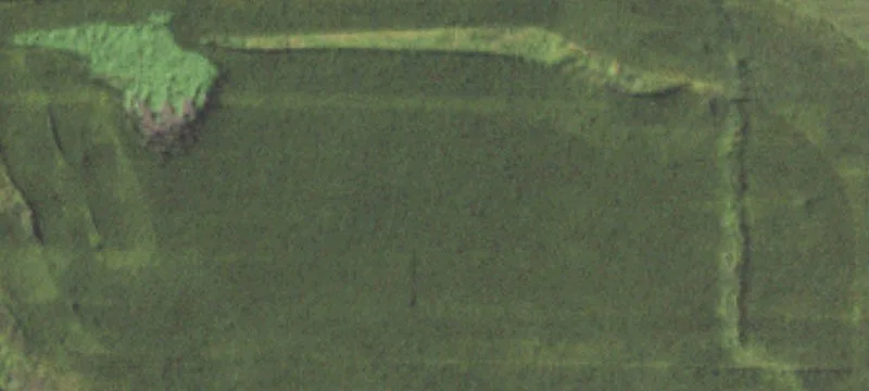 Manteno, IL 60950
