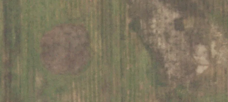 Lawrenceville, IL 62439