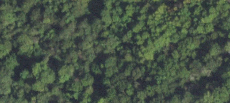 Thompsonville, IL 62890
