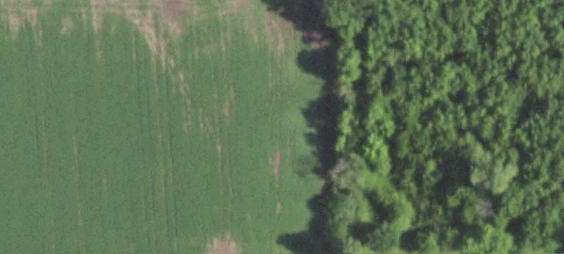 Of Taylorville Rd