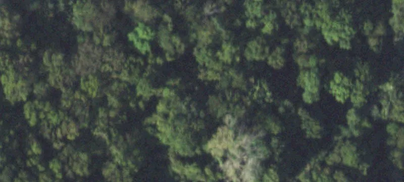  Mount