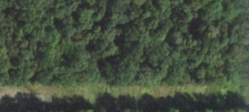 Junction, IL 62954