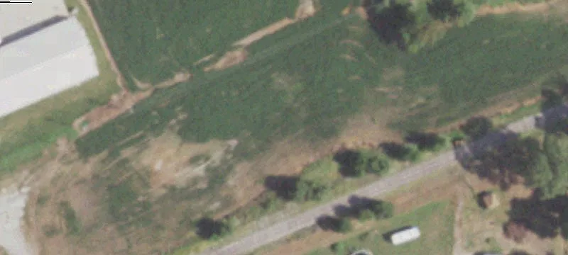 Cuba, IL 61427