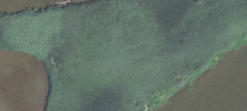 Ottawa, IL 61350